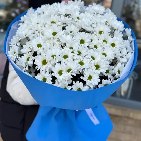 Букет из кустовых хризантем  "Полнолуние"
