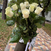 Букет из 11 голландских белых роз